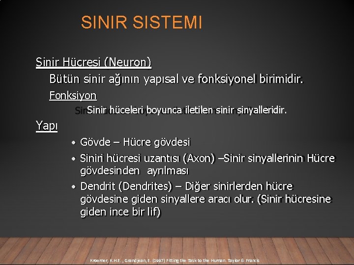 SINIR SISTEMI Sinir Hücresi (Neuron) Bütün sinir ağının yapısal ve fonksiyonel birimidir. Fonksiyon Sinir