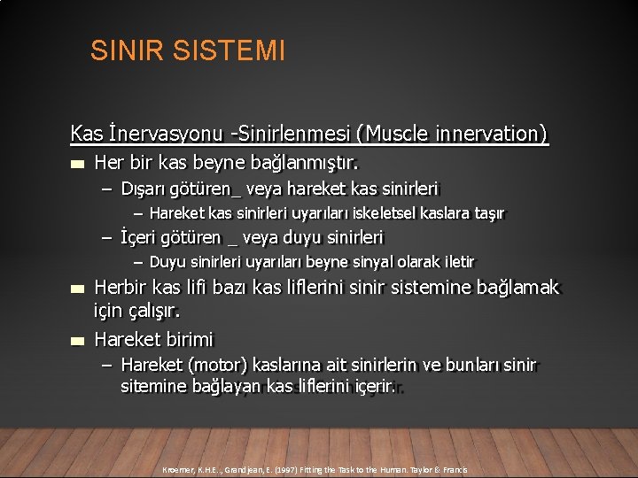 SINIR SISTEMI Kas İnervasyonu -Sinirlenmesi (Muscle innervation) Her bir kas beyne bağlanmıştır. – Dışarı