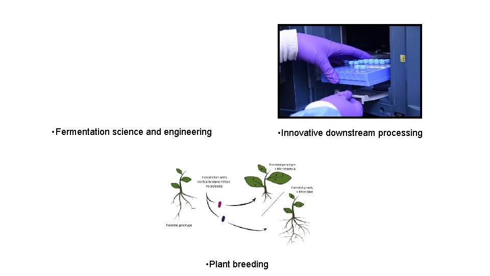  • Fermentation science and engineering • Plant breeding • Innovative downstream processing 