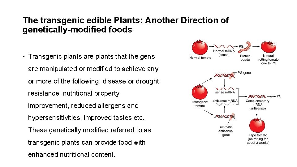The transgenic edible Plants: Another Direction of genetically-modified foods • Transgenic plants are plants