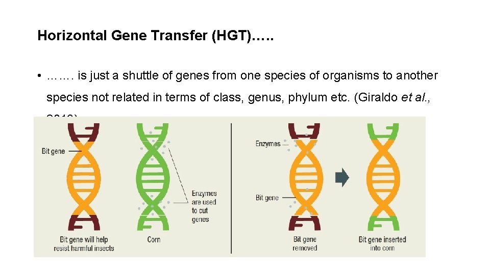 Horizontal Gene Transfer (HGT)…. . • ……. is just a shuttle of genes from