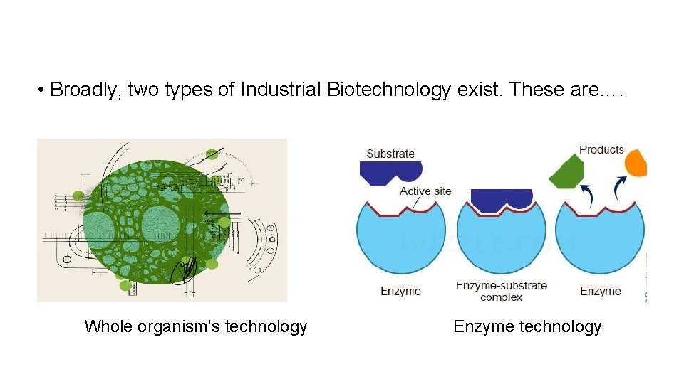  • Broadly, two types of Industrial Biotechnology exist. These are…. Whole organism’s technology