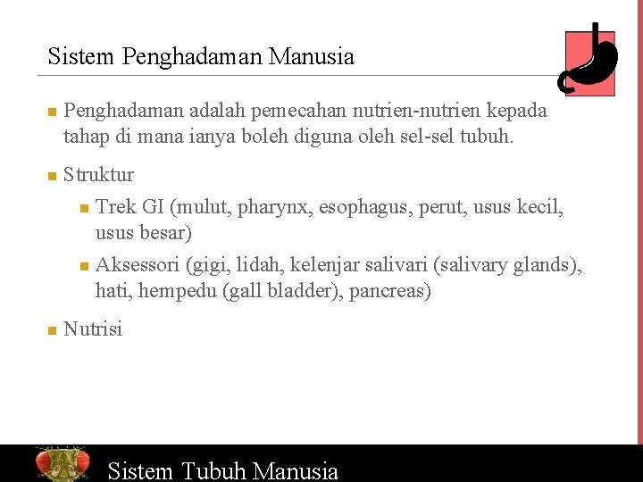 Sistem Penghadaman Manusia n n n Penghadaman adalah pemecahan nutrien-nutrien kepada tahap di mana