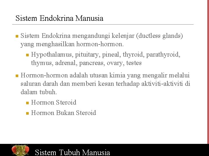 Sistem Endokrina Manusia n n Sistem Endokrina mengandungi kelenjar (ductless glands) yang menghasilkan hormon-hormon.