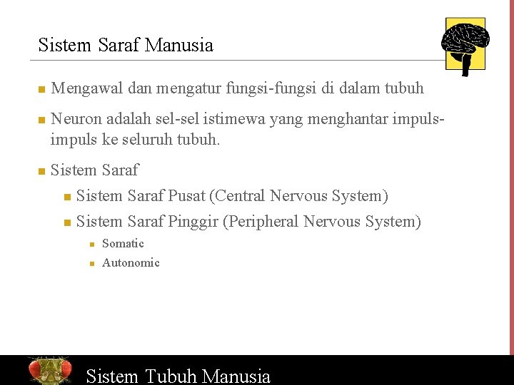Sistem Saraf Manusia n n n Mengawal dan mengatur fungsi-fungsi di dalam tubuh Neuron
