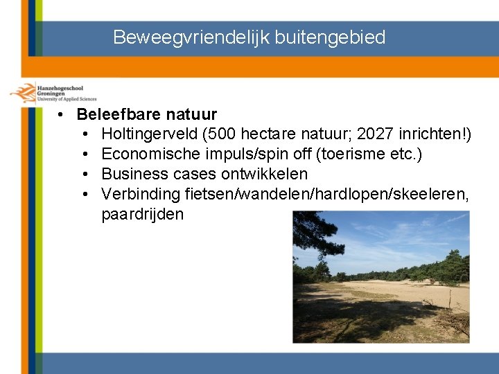 Beweegvriendelijk buitengebied • Beleefbare natuur • Holtingerveld (500 hectare natuur; 2027 inrichten!) • Economische