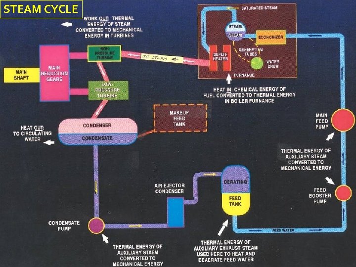 STEAM CYCLE 