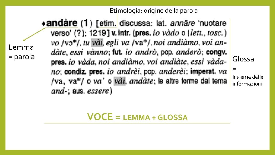 Etimologia: origine della parola Lemma = parola Glossa = Insieme delle informazioni VOCE =