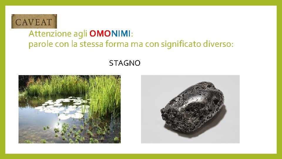 Attenzione agli OMONIMI: parole con la stessa forma ma con significato diverso: STAGNO 