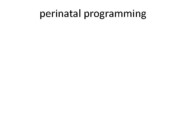 perinatal programming 