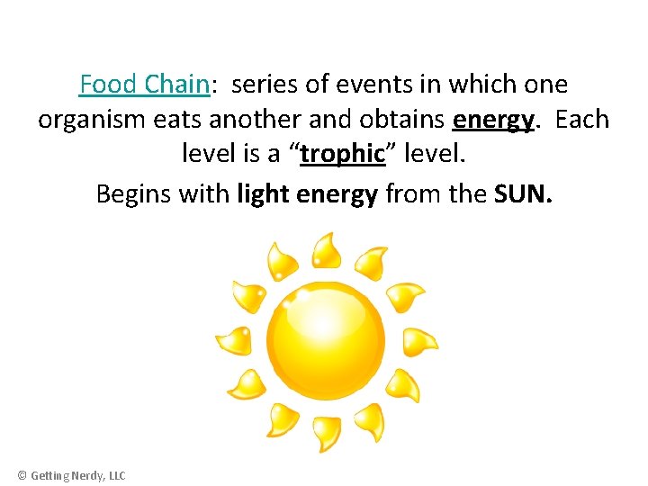 Food Chain: series of events in which one organism eats another and obtains energy.