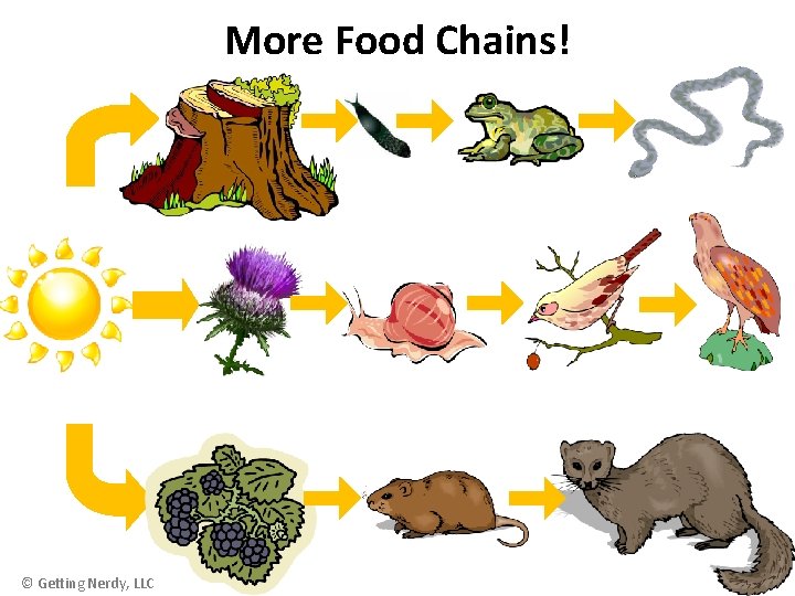 More Food Chains! © Getting Nerdy, LLC 