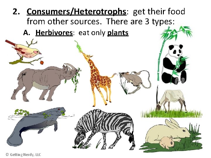 2. Consumers/Heterotrophs: get their food from other sources. There are 3 types: A. Herbivores: