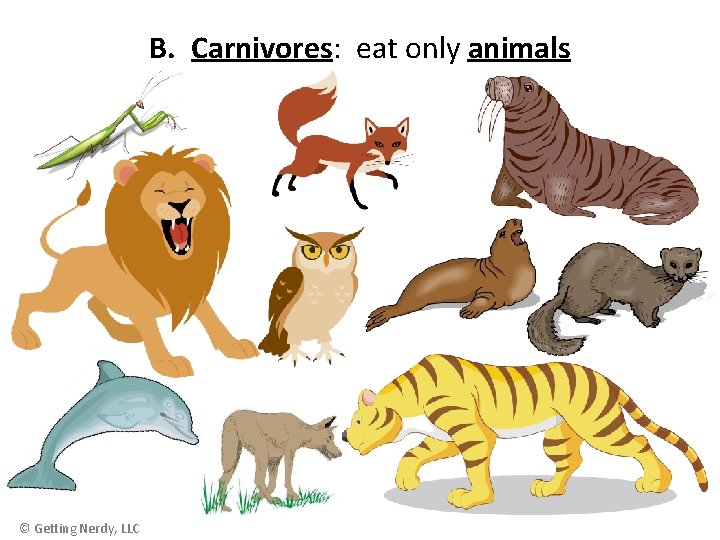 B. Carnivores: eat only animals © Getting Nerdy, LLC 