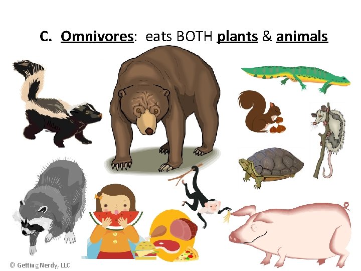 C. Omnivores: eats BOTH plants & animals © Getting Nerdy, LLC 