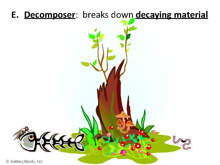 E. Decomposer: breaks down decaying material © Getting Nerdy, LLC 