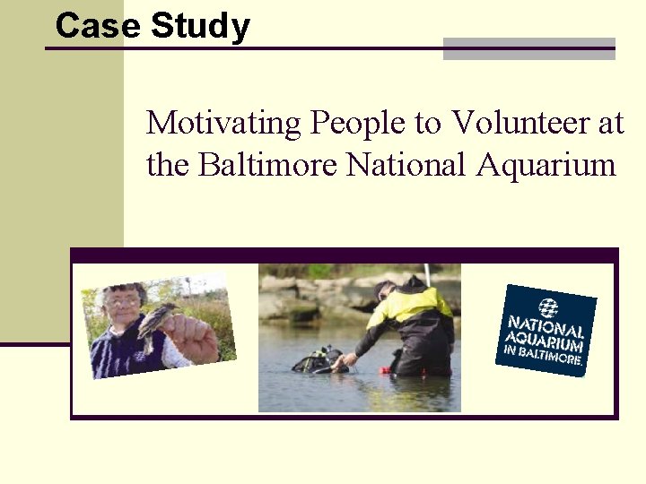 Case Study Motivating People to Volunteer at the Baltimore National Aquarium 
