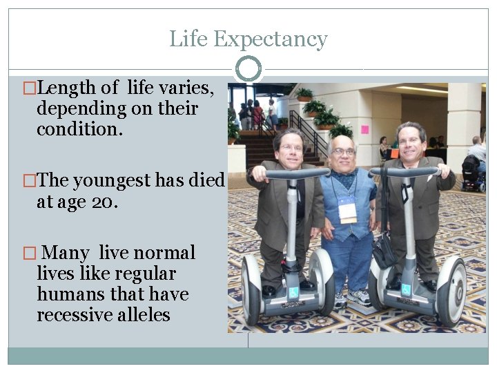 Life Expectancy �Length of life varies, depending on their condition. �The youngest has died