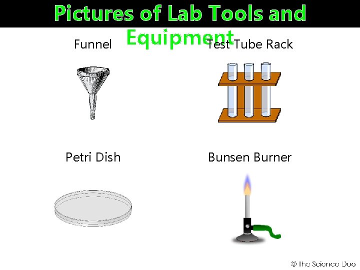 Pictures of Lab Tools and Test Tube Rack Funnel Equipment Petri Dish Bunsen Burner