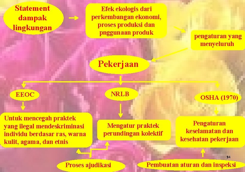 Statement dampak lingkungan Efek ekologis dari perkembangan ekonomi, proses produksi dan pnggunaan produk pengaturan