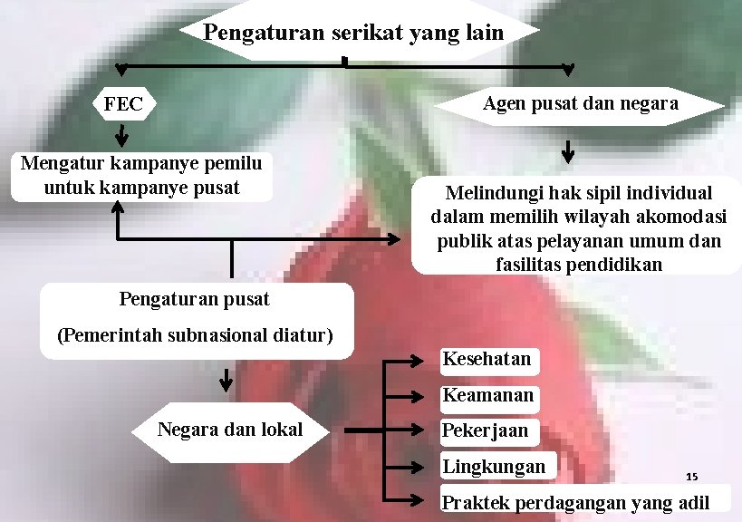 Pengaturan serikat yang lain Agen pusat dan negara FEC Mengatur kampanye pemilu untuk kampanye