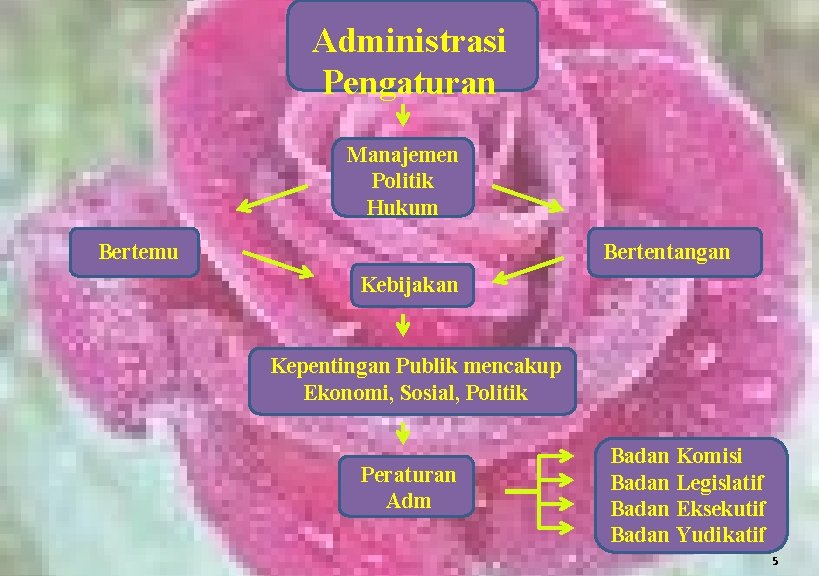 Administrasi Pengaturan Manajemen Politik Hukum Bertemu Bertentangan Kebijakan Kepentingan Publik mencakup Ekonomi, Sosial, Politik