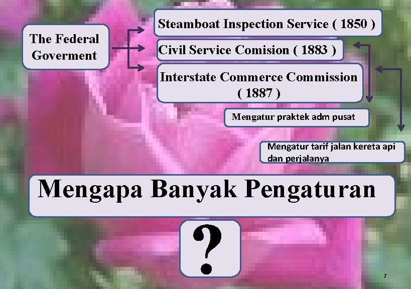 Steamboat Inspection Service ( 1850 ) The Federal Goverment Civil Service Comision ( 1883
