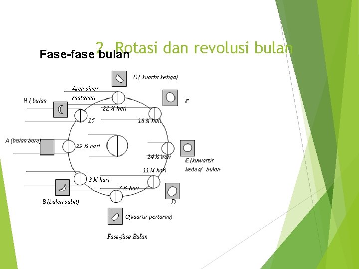 Rotasi Fase-fase 2. bulan dan revolusi bulan 