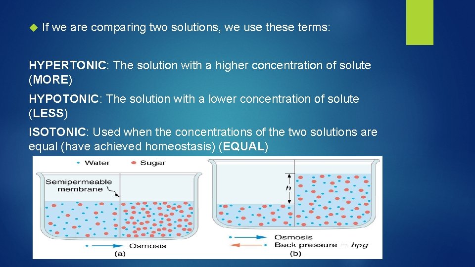  If we are comparing two solutions, we use these terms: HYPERTONIC: The solution