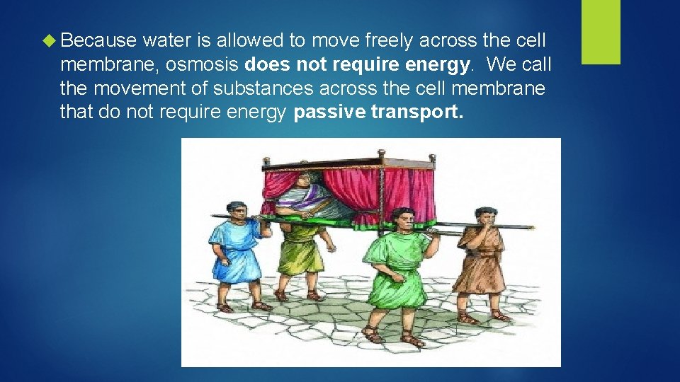  Because water is allowed to move freely across the cell membrane, osmosis does