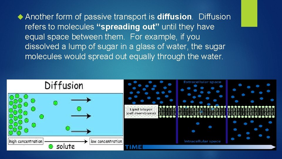  Another form of passive transport is diffusion. Diffusion refers to molecules “spreading out”