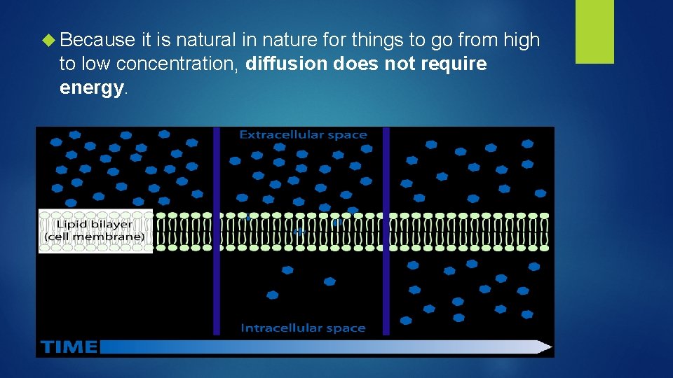  Because it is natural in nature for things to go from high to