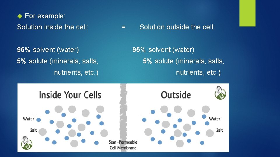  For example: Solution inside the cell: 95% solvent (water) 5% solute (minerals, salts,