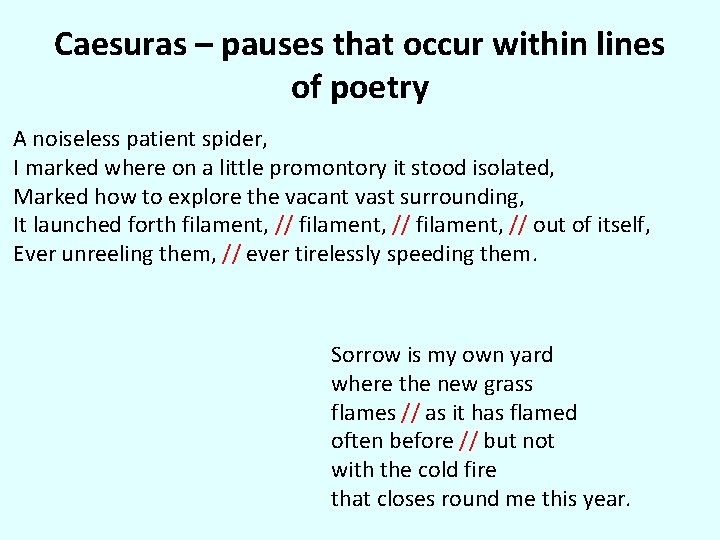Caesuras – pauses that occur within lines of poetry A noiseless patient spider, I