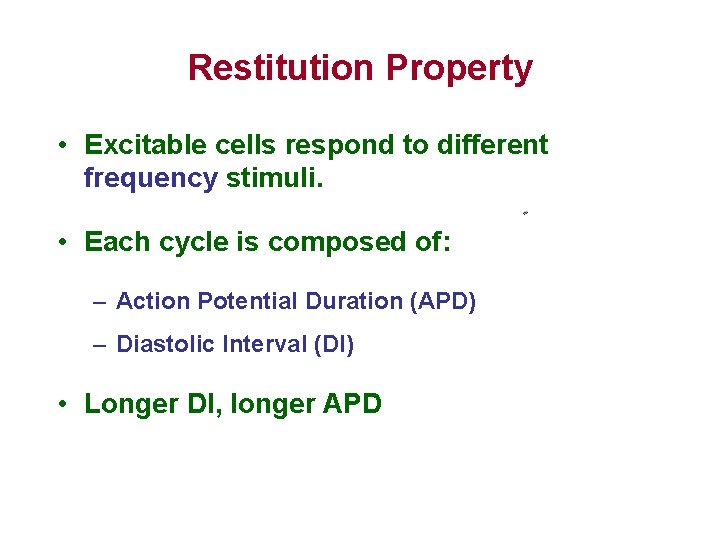 Restitution Property • Excitable cells respond to different frequency stimuli. • Each cycle is