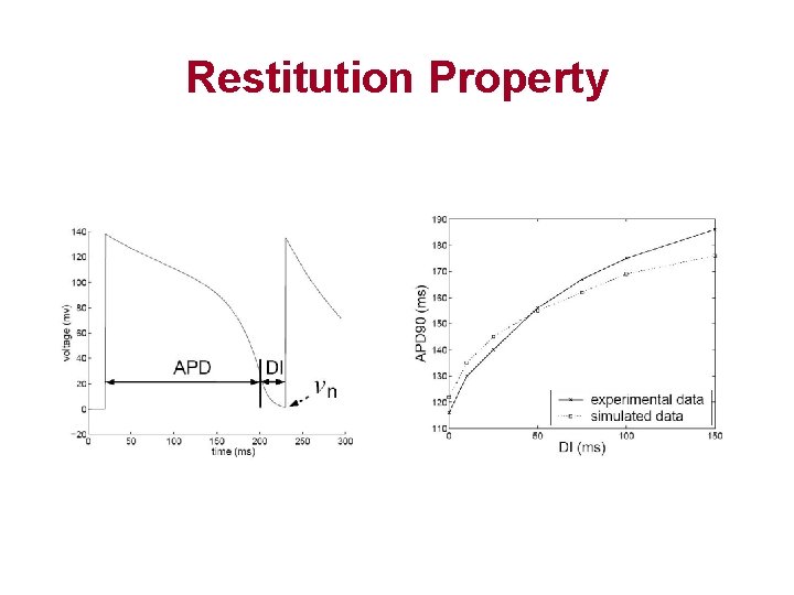 Restitution Property 