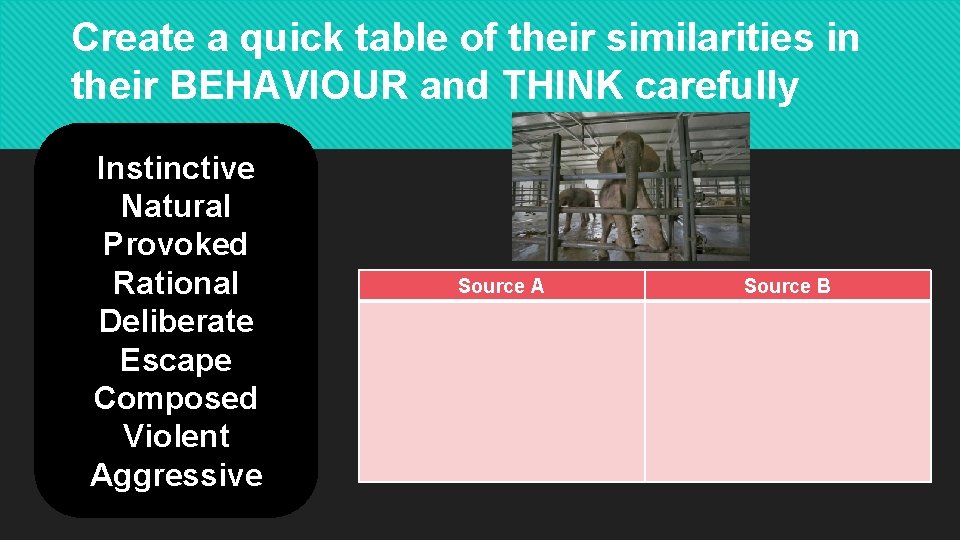 Create a quick table of their similarities in their BEHAVIOUR and THINK carefully Instinctive