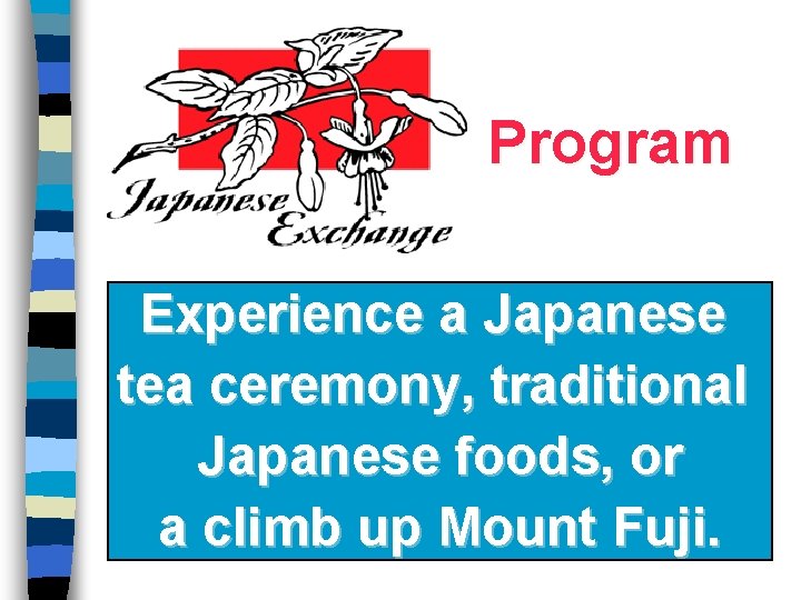 Program Experience a Japanese tea ceremony, traditional Japanese foods, or a climb up Mount