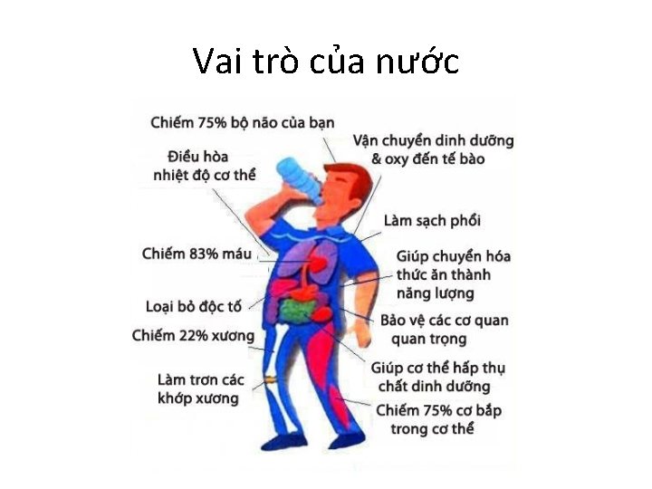 Vai trò của nước 