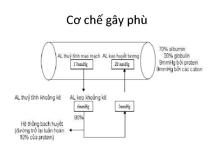 Cơ chế gây phù 