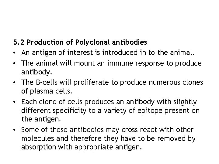 5. 2 Production of Polyclonal antibodies • An antigen of interest is introduced in