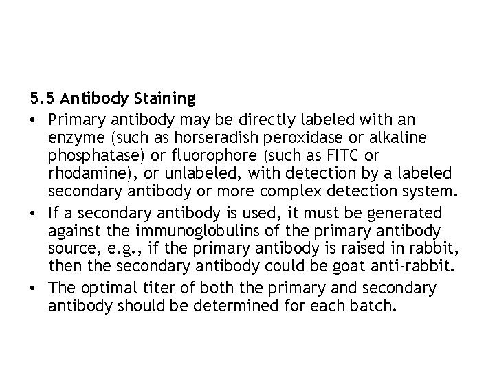 5. 5 Antibody Staining • Primary antibody may be directly labeled with an enzyme