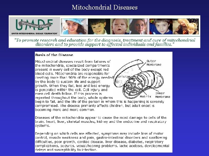 Mitochondrial Diseases 