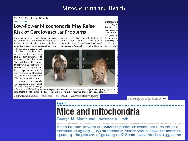 Mitochondria and Health 