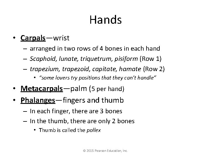 Hands • Carpals—wrist – arranged in two rows of 4 bones in each hand Hands • Carpals—wrist – arranged in two rows of 4 bones in each hand