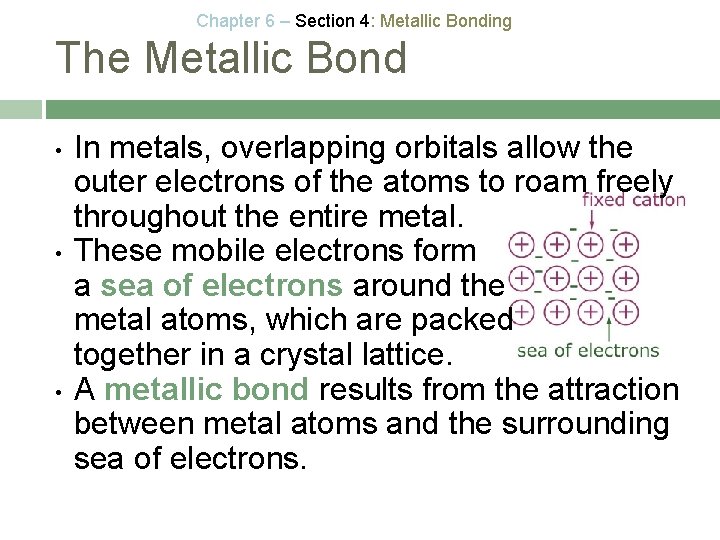 Chapter 6 – Section 4: Metallic Bonding The Metallic Bond • • • In
