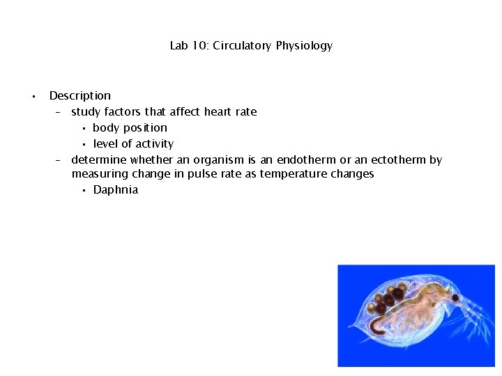 Lab 10: Circulatory Physiology • Description – study factors that affect heart rate •