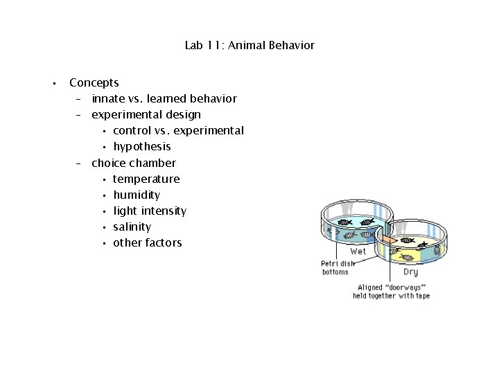 Lab 11: Animal Behavior • Concepts – innate vs. learned behavior – experimental design