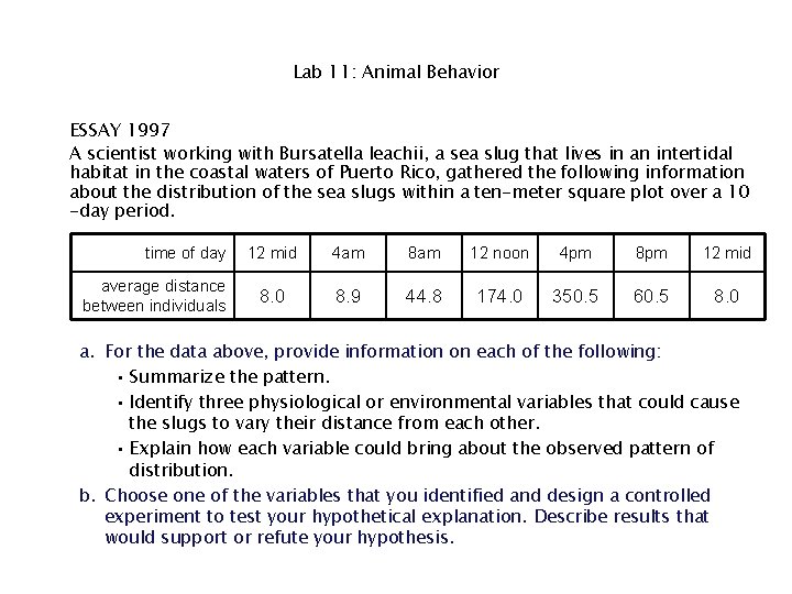 Lab 11: Animal Behavior ESSAY 1997 A scientist working with Bursatella leachii, a sea