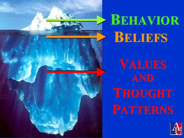 Intercultural Management Institute BEHAVIOR BELIEFS VALUES AND THOUGHT PATTERNS 